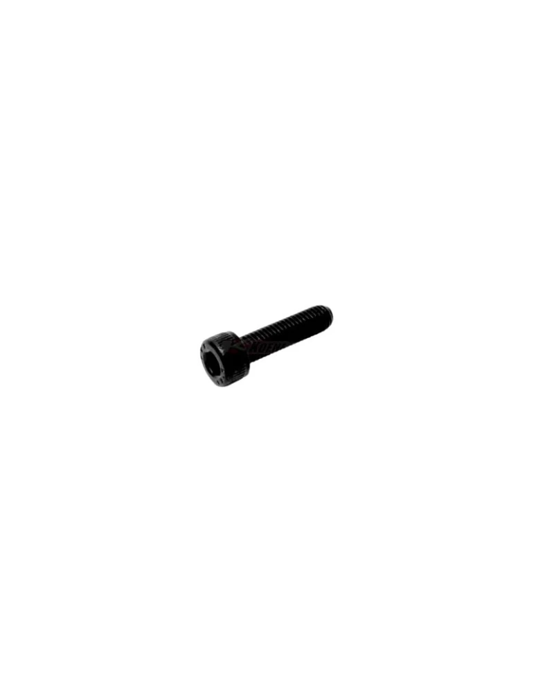 KIT OF 20 SCREWS TCCE 5x20