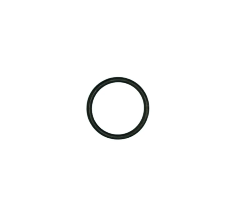 EXHAUST VALVE DIAPHRAGM O'RING
