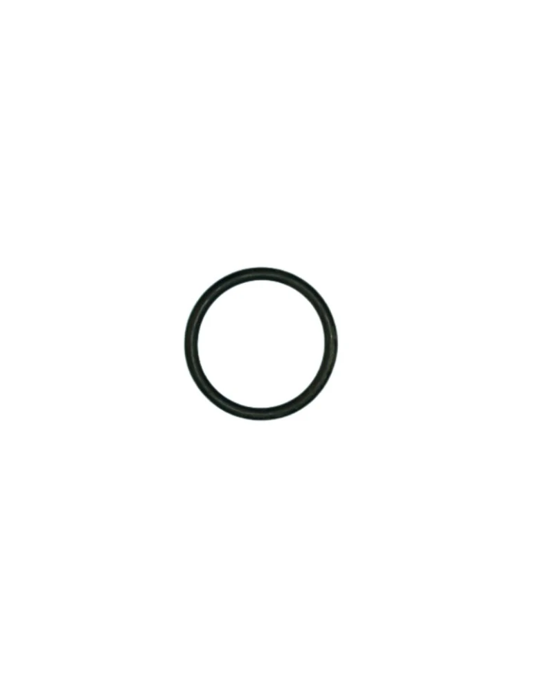 EXHAUST VALVE DIAPHRAGM O'RING
