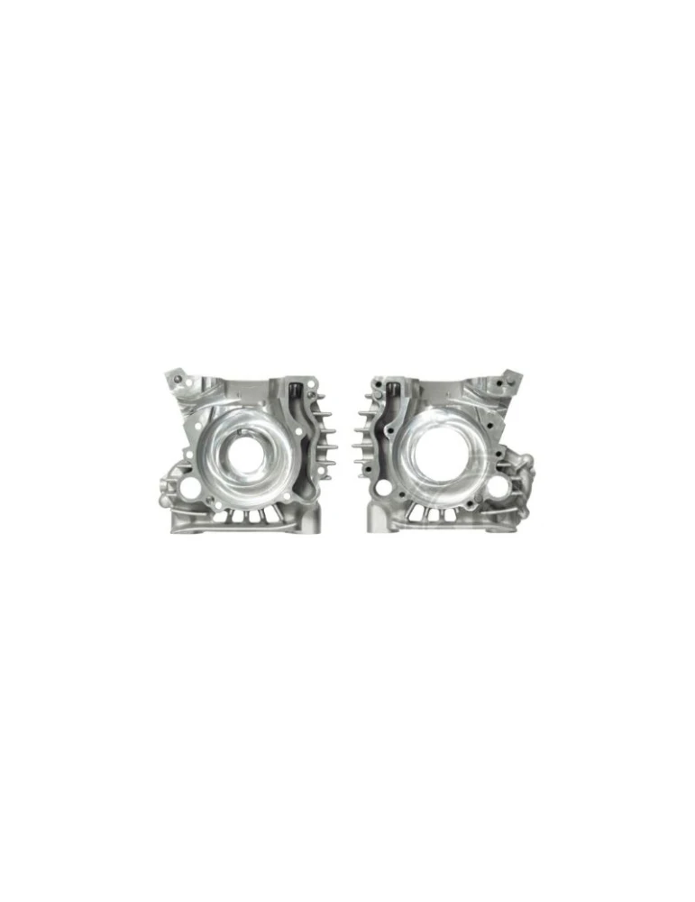 CRANKCASE REEDSTER V OK
