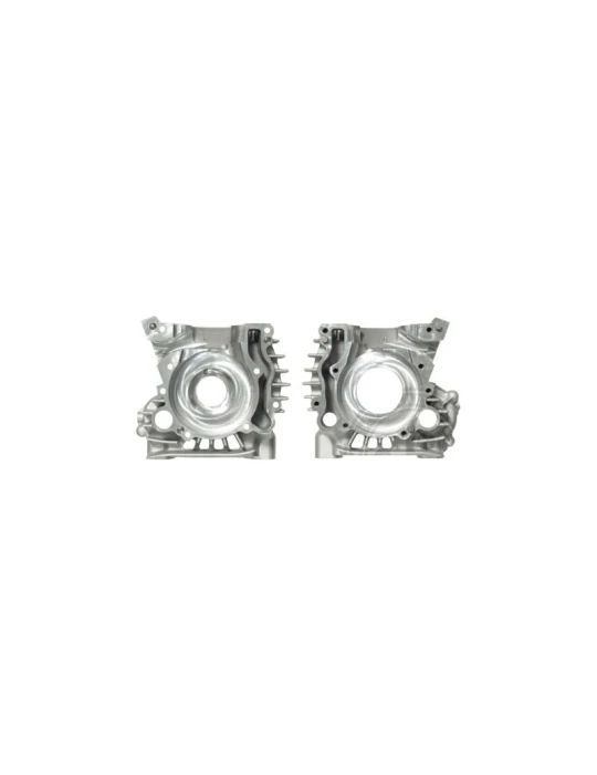 CRANKCASE REEDSTER V OK
