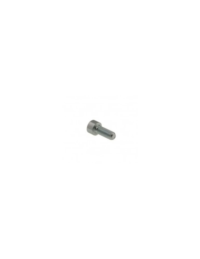 KIT 20 SCREWS M6x10