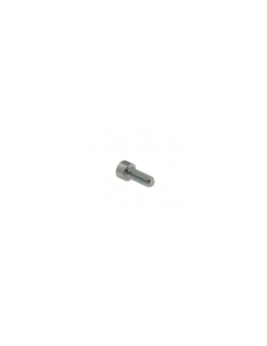 KIT 20 SCREWS M6x10