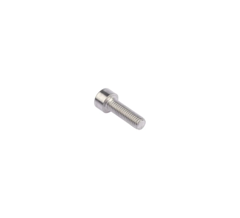 KIT 20 SCREWS TCCE M 6x30 INOX