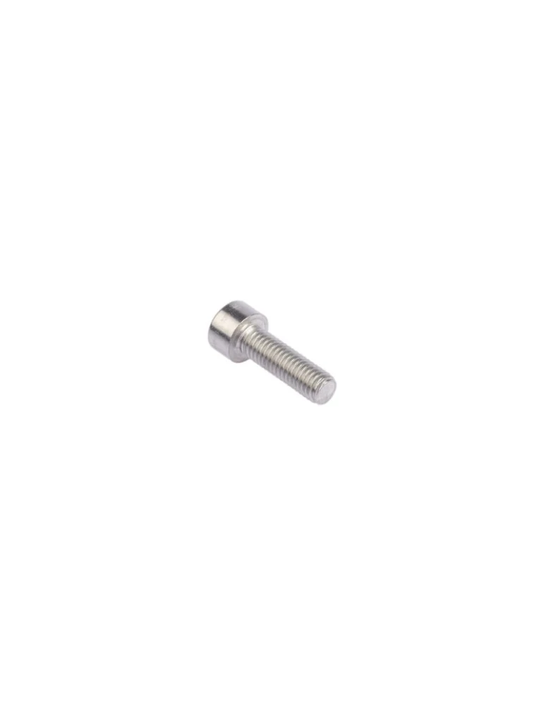 KIT 20 SCREWS TCCE M 6x30 INOX