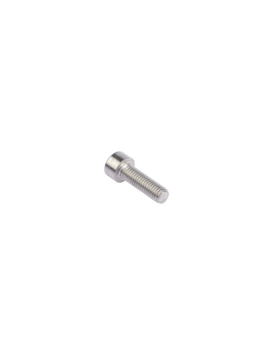 KIT 20 SCREWS TCCE M 6x30 INOX