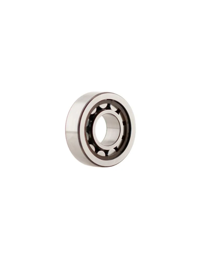 ROLLER BEARING SKF NJ 203 ECP/C4