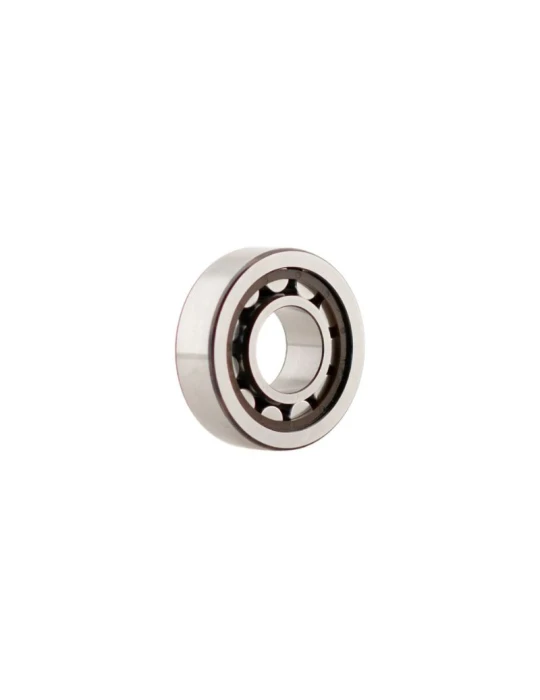 ROLLER BEARING SKF NJ 203 ECP/C4