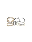 GASKET SET REEDSTER V OKJ