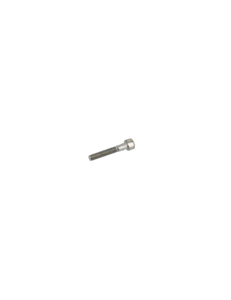 KIT 20 SCREWS TCCE M 6X35 INOX