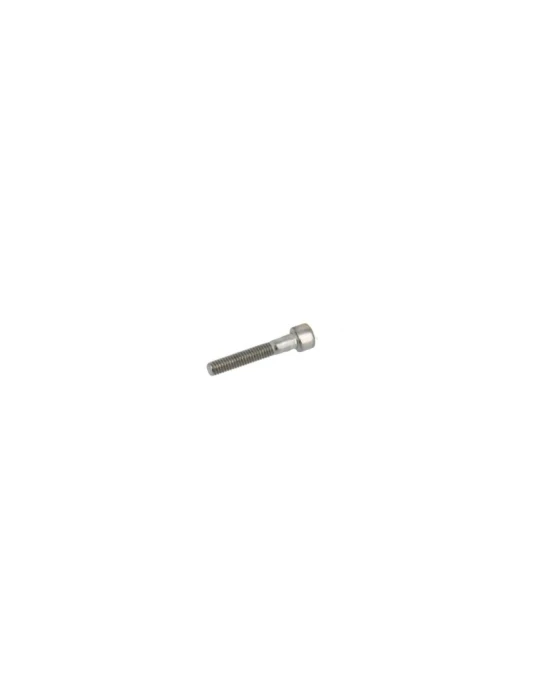 KIT 20 SCREWS TCCE M 6X35 INOX