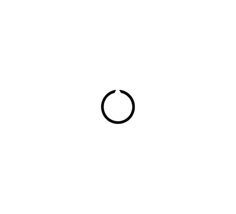 SEEGER RING SW 15