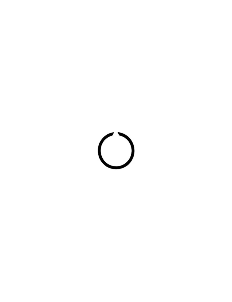 SEEGER RING SW 15
