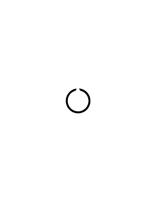 SEEGER RING SW 15