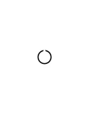 SEEGER RING SW 15