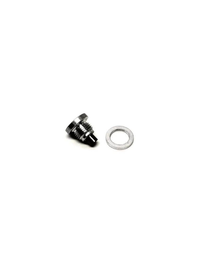 MAGNETIC PLUG TCEM M10x1