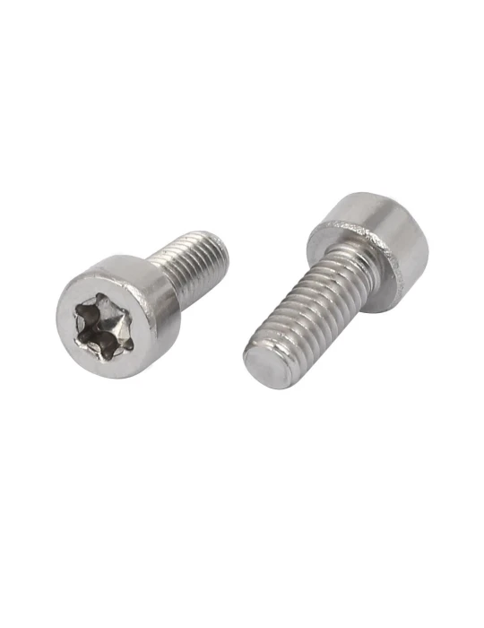 20 x 20 x SCREW TB Torx M4x10 ISO 14583