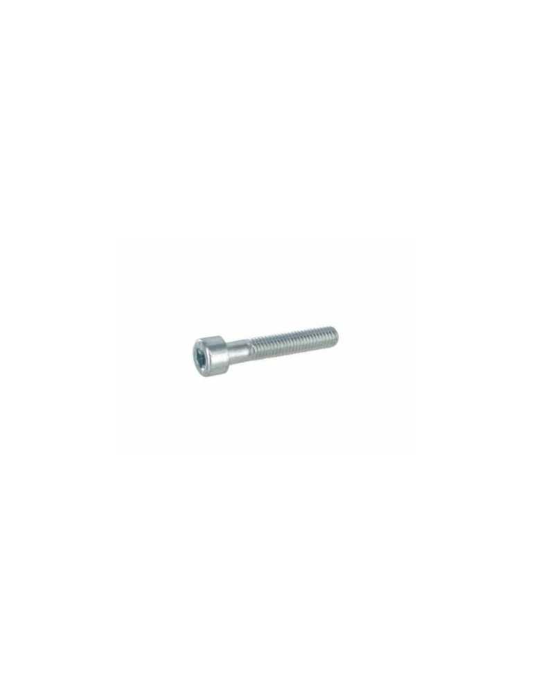 KIT OF 20 ALLEN SCREWS  5x30