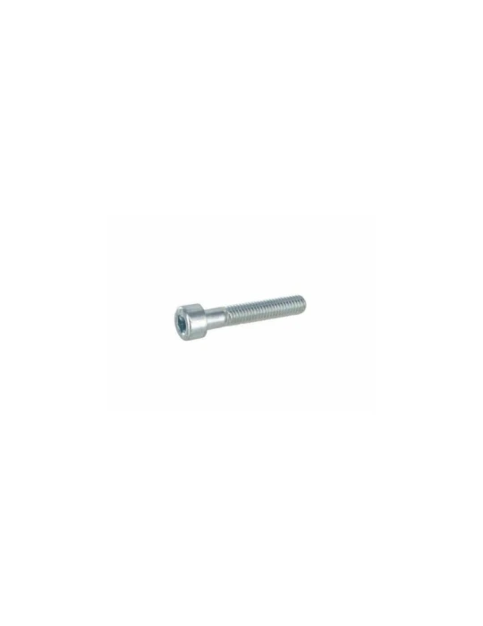 KIT OF 20 ALLEN SCREWS  5x30