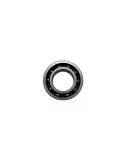 BALL-BEARING 61902 T9C4