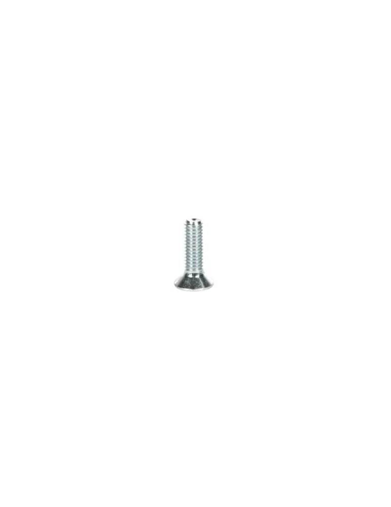 KIT 20 SCREWS TSEI M6x40