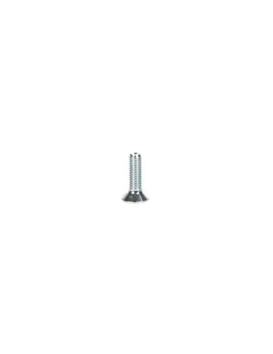 KIT 20 SCREWS TSEI M6x40