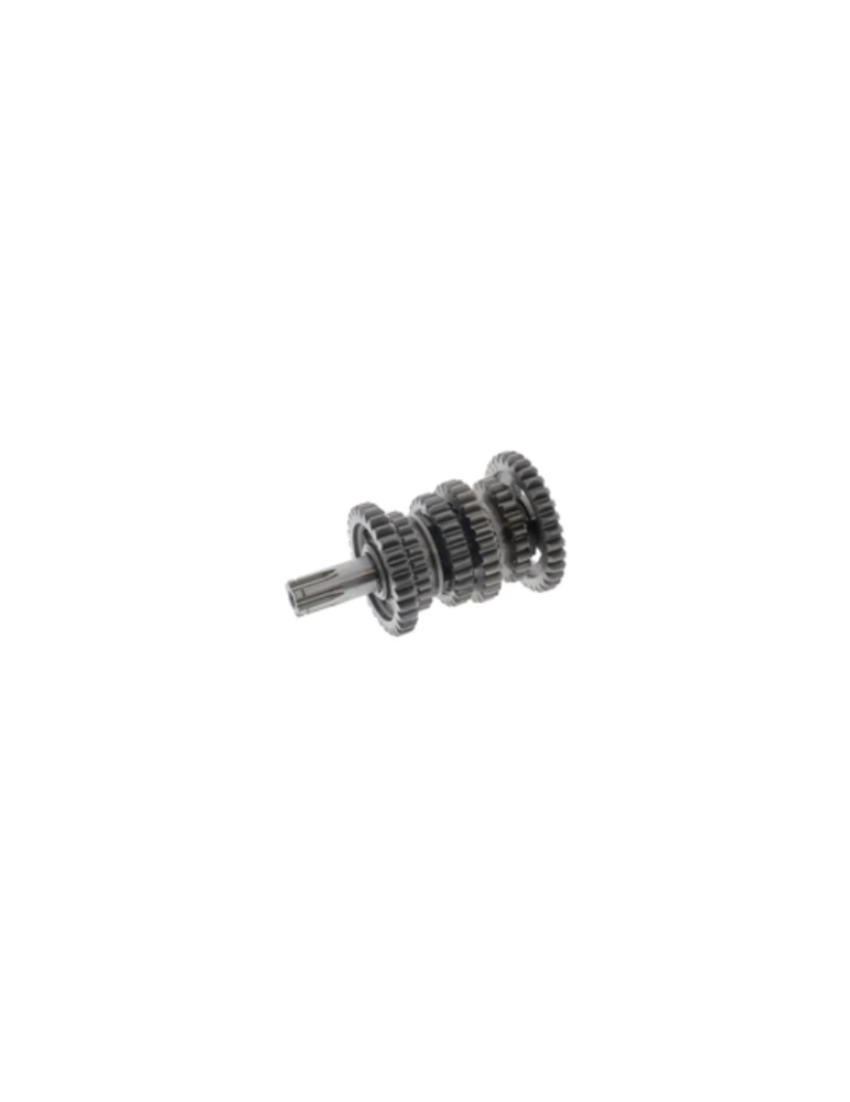 COMPL. SECONDARY SHAFT SCREAMER