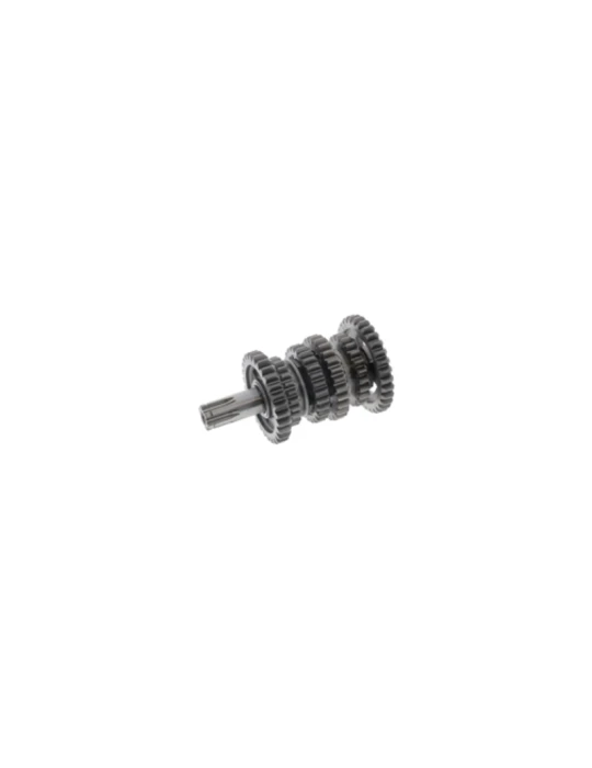 COMPL. SECONDARY SHAFT SCREAMER