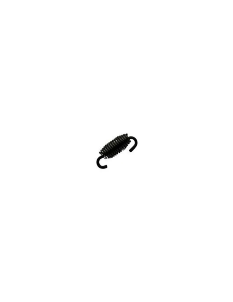 EXHAUST SPRING