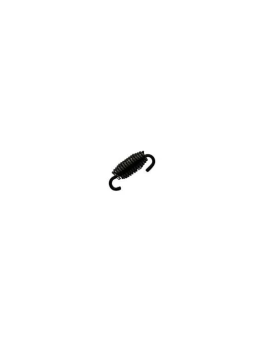 EXHAUST SPRING