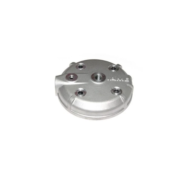 CYL. HEAD LEOPARD/K25
