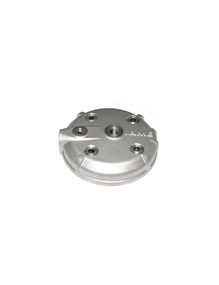 CYL. HEAD LEOPARD/K25