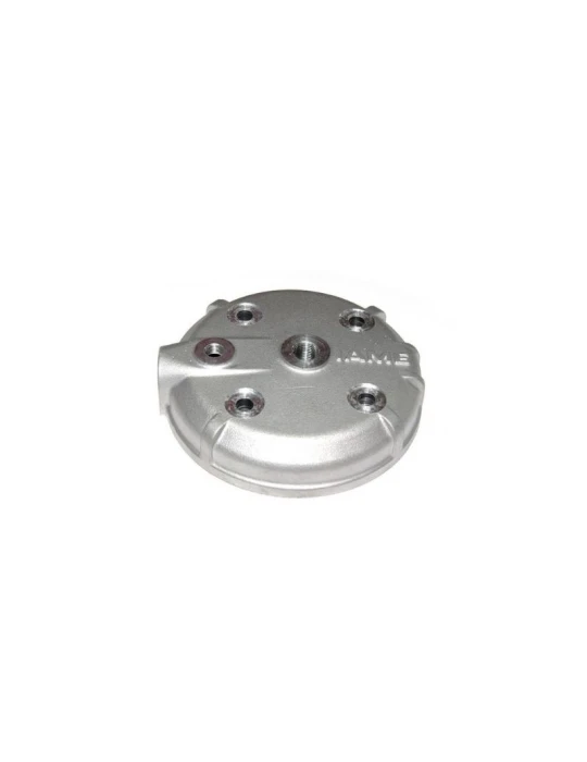CYL. HEAD LEOPARD/K25