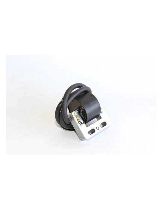 SELETTRA COIL K