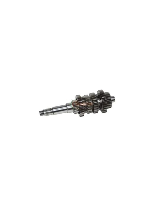 COMPLETE PRIMARY SHAFT
