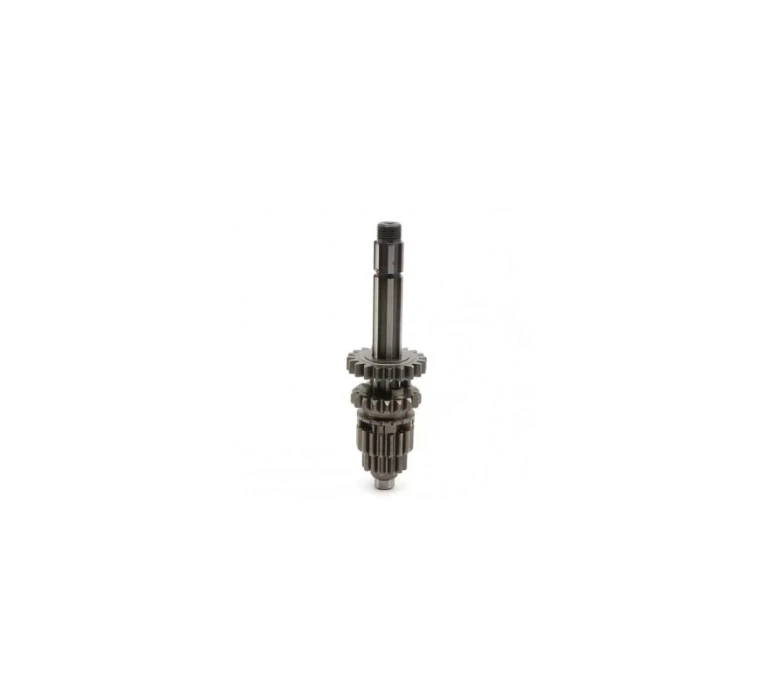 PRIMARY SHAFT WITH RING