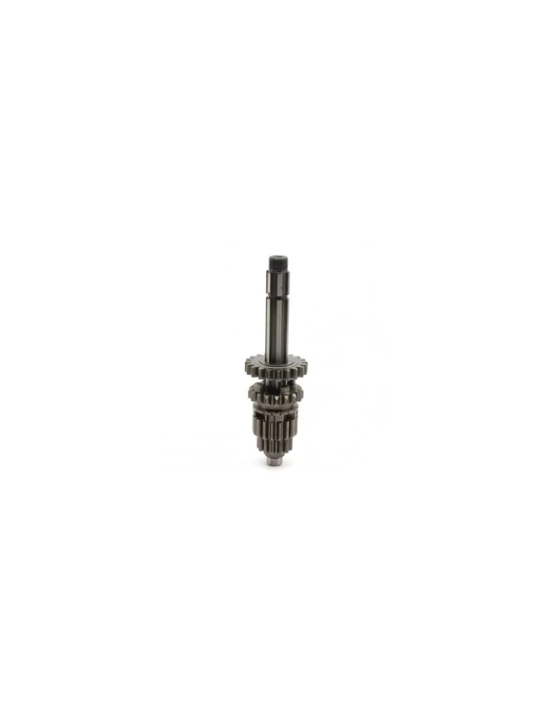 PRIMARY SHAFT WITH RING