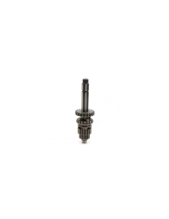 PRIMARY SHAFT WITH RING