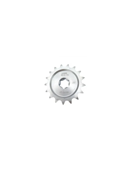 PIGNON / SPROCKET