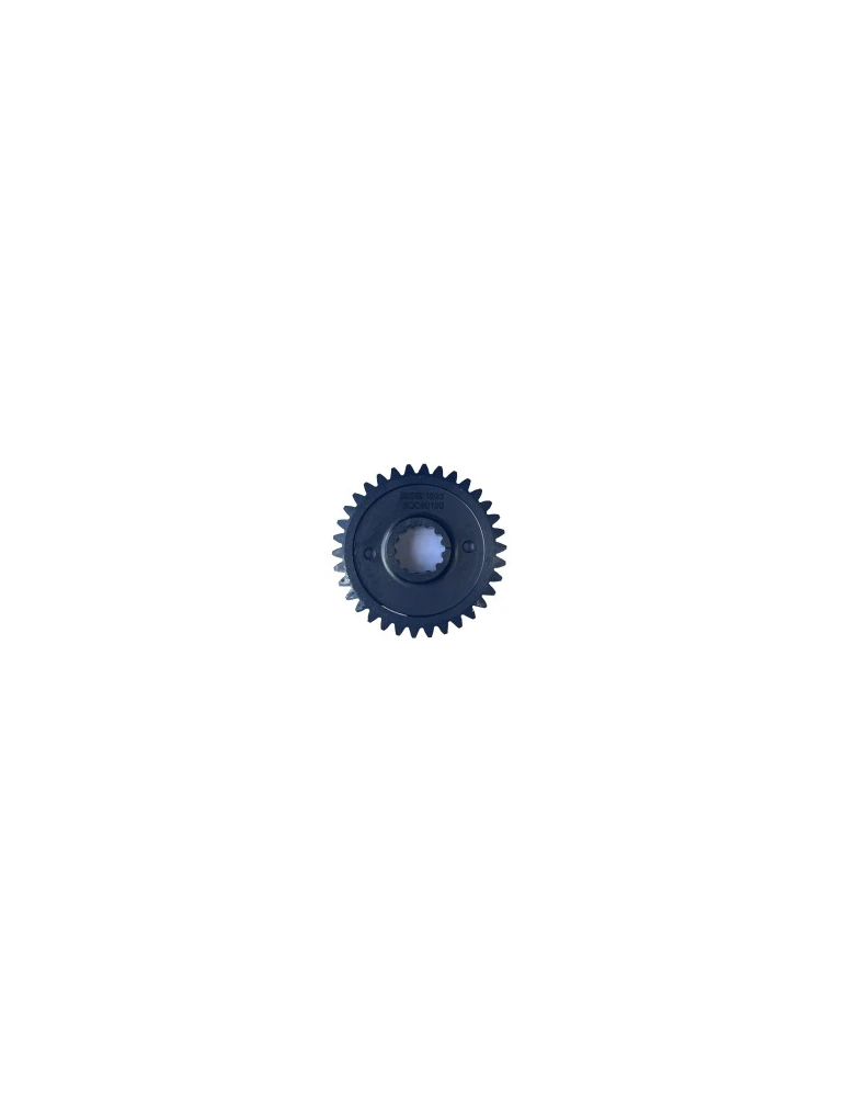 COUNTERBALANCE GEAR S125