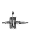 CRANKSHAFT REEDSTER V OKJ '19