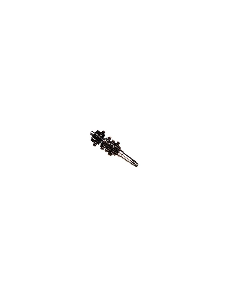 PRIMARY SHAFT
