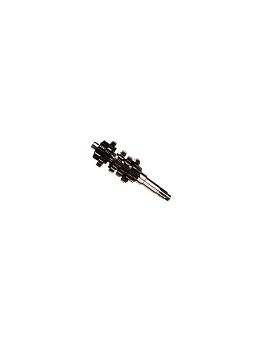 PRIMARY SHAFT