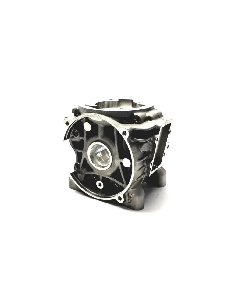 CRANKCASE LEOP/EASY-125
