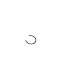 CIRCLIP W/OUT TAILS
