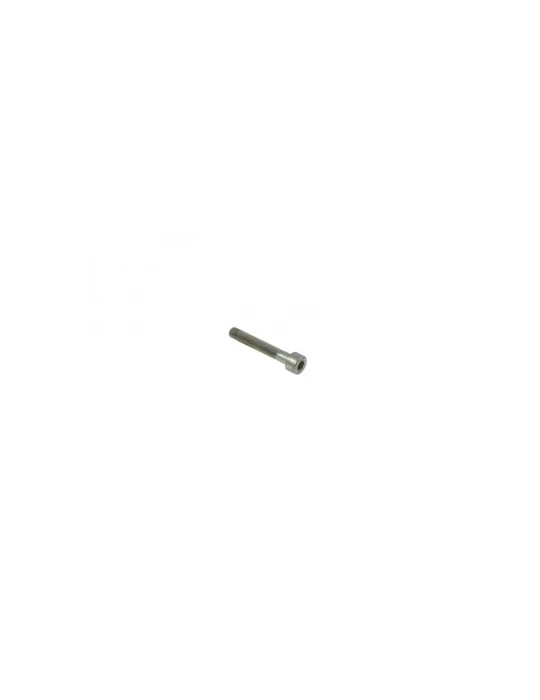 VIS TETE CYLINDRIQUE SIX PANS CREUX 5X29/ TCEI screw 5 x 25