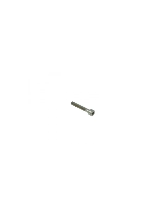 VIS TETE CYLINDRIQUE SIX PANS CREUX 5X30TCEI/ screw 5 x 30