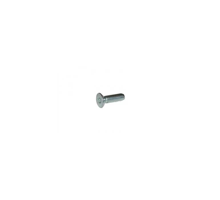 VIS 6 PANS TETE FRAISEE SIX PANS CREUX  M6x20mm OTK/ TPSCEI screw 6 x