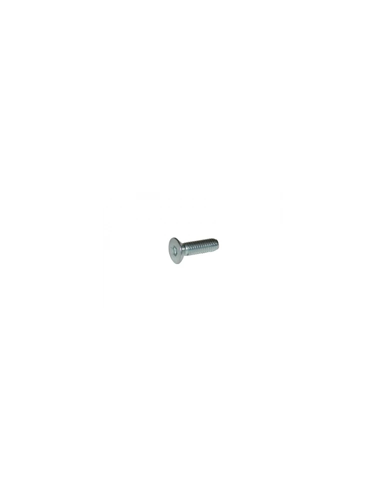 VIS 6 PANS TETE FRAISEE SIX PANS CREUX  M6x20mm OTK/ TPSCEI screw 6 x