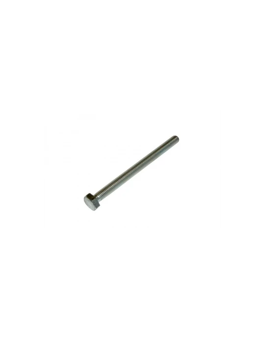 VIS PC ARR 10X130 / REAR PROTECTION SCREW 10x130
